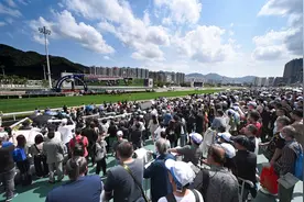 三位华人练马师包揽宝马香港打吡大赛前四名图片