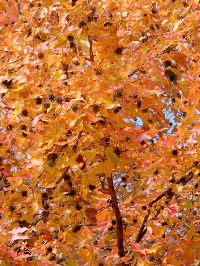 在千岛湖，这5公里要慢行！