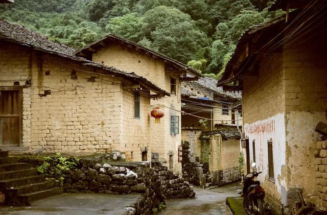 解锁融安“美丽庭院”新玩法，畅享乡村自在游