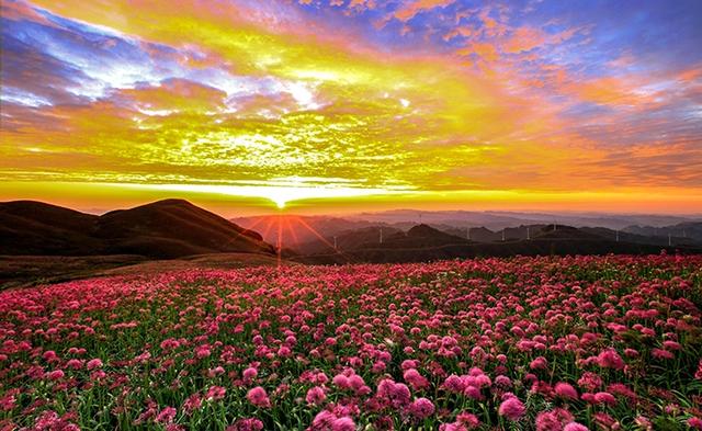 韭菜坪: 乌蒙山脉的璀璨明珠