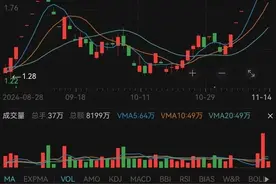8天8个涨停！这只妖股突然停牌核查，公司巨亏、实控人债务缠身图片