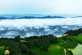 和美乡村入画来——重庆市巴南区实施“党建统领·百村振兴”行动观察图片