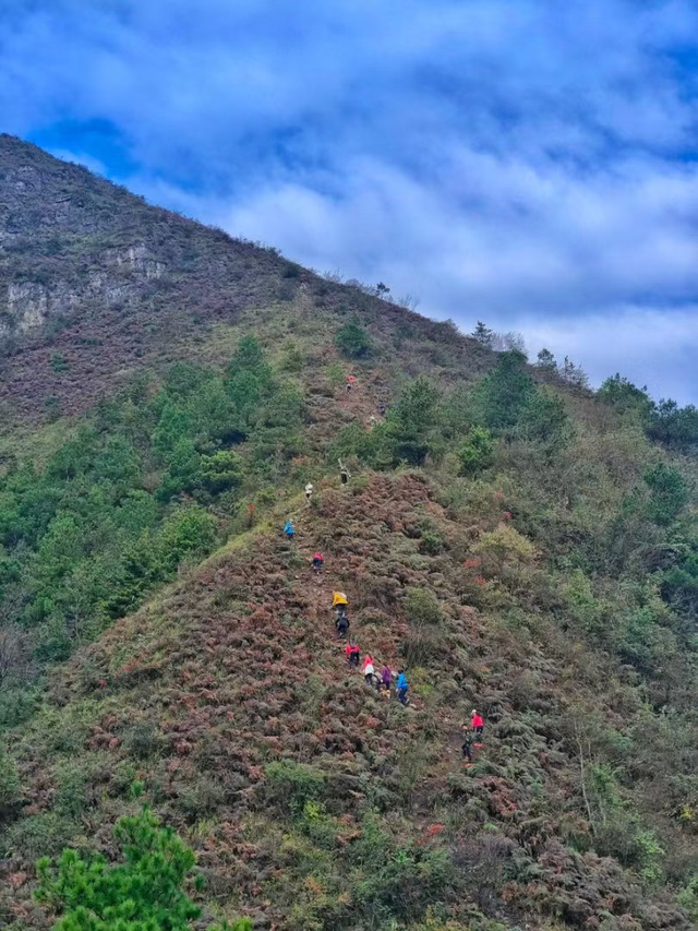 去白云看云——在黔山褶皱里，赴一场与云的慢遇