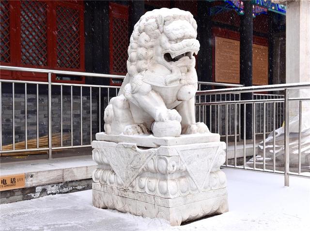 雪落青城诗意浓