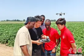 东西丨焦小强：“中非科技小院”如何充实“非洲粮仓”？图片