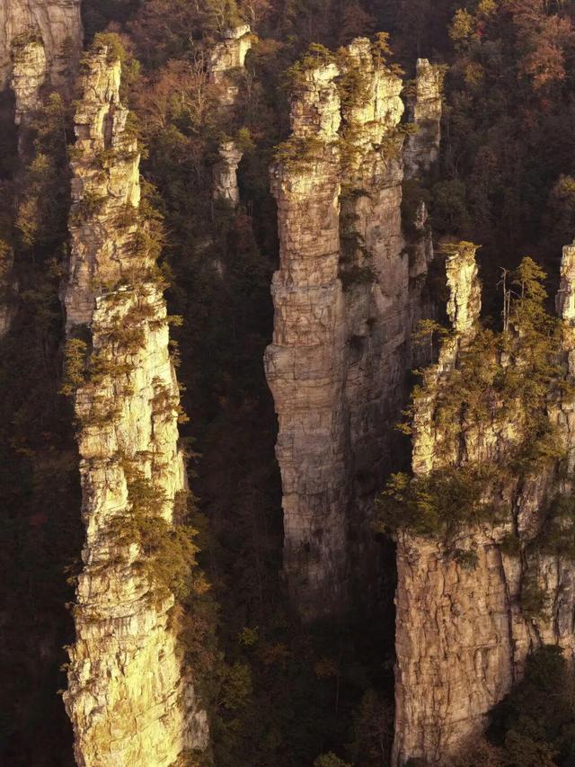 摄影故事 | 霞染秋峰入镜来——世界自然遗产武陵源巡礼手记