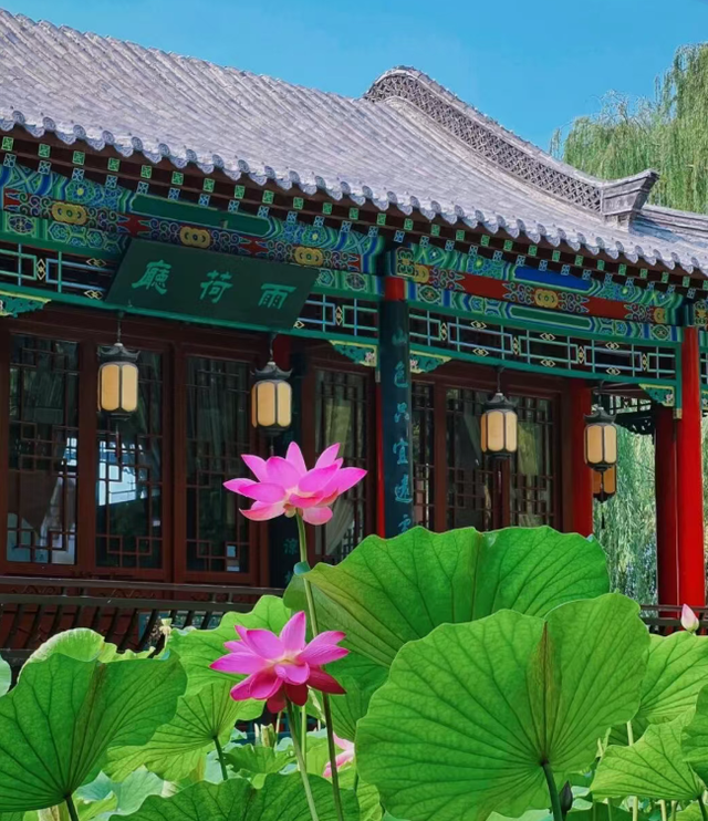 再走一遍老舍的济南