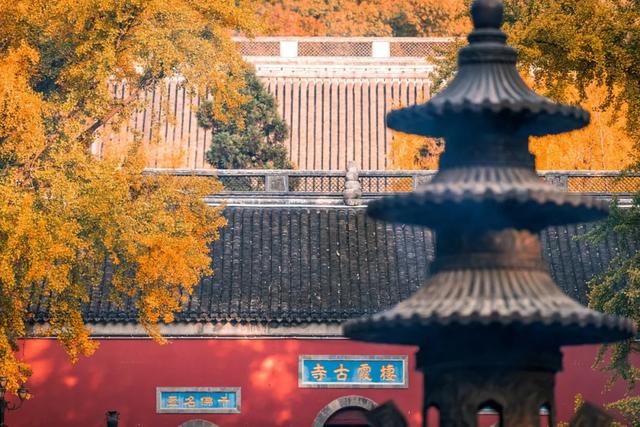 南京多景点免费开放！时间定了！