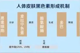 买酱油也有讲究！标有这4个字的酱油，最好别买？图片