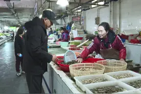 壳薄、肉厚、个头大！“明前肥螺” 大量上市图片