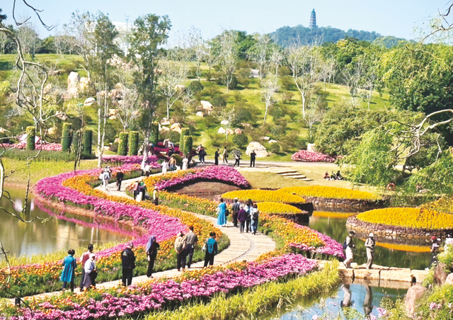 冬日添新色 缤纷遇浪漫