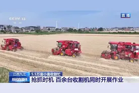 收割机装上摄像头、无人插秧机“上岗”……各地尽显科技范儿图片