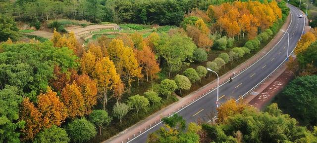 WOW，柳州超多赏秋打卡地，随手出大片！