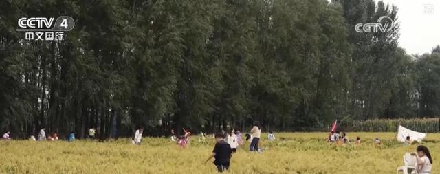 人气旺、活力足！双节假期文旅消费热潮涌动 假日经济持续升温