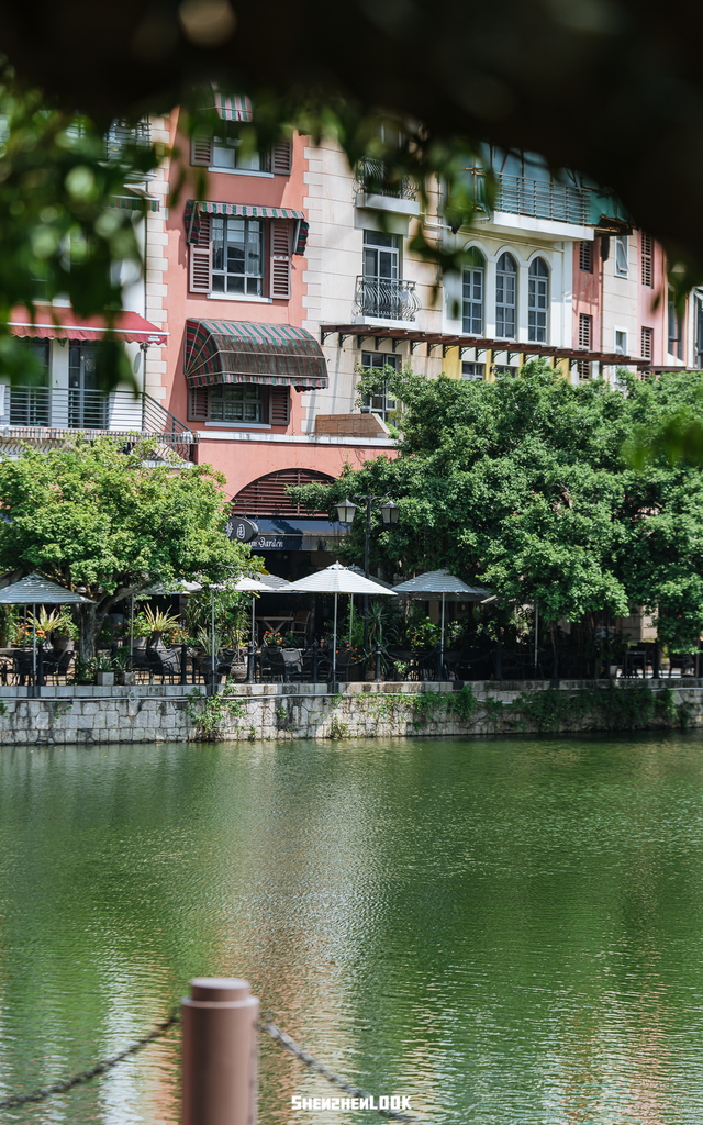 “看牛看海看夜景，深圳骑行路线精选”