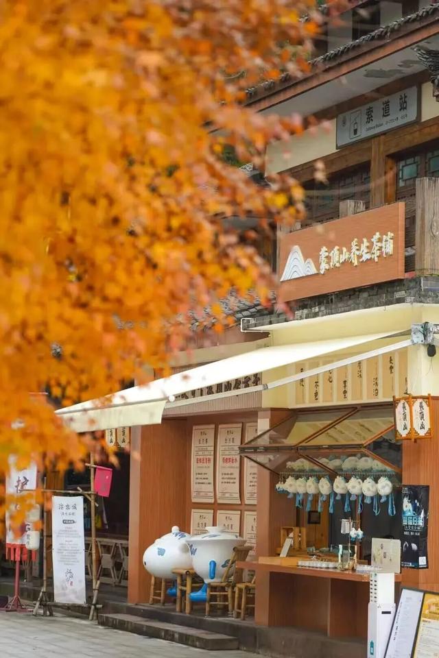 奖牌不限量！蒙顶山徒步第六季暖冬回归，邀您共赴一场“有氧”之约