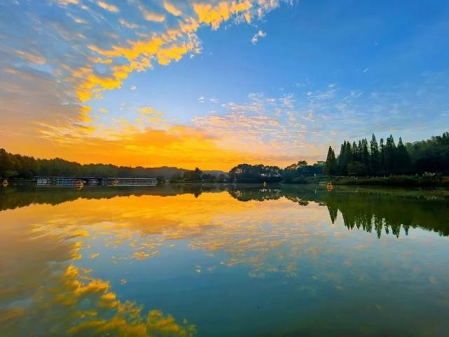 藏不住了！看一眼就“沦陷”！