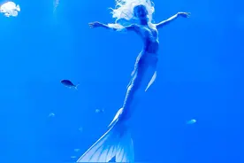 蓝色盛宴落幕，46位“深海精灵”在深圳小梅沙掀起水下风暴图片
