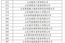 东营44＋5！​2024年度山东省瞪羚企业名单公示图片