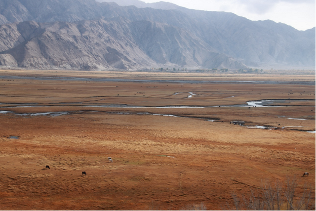 另一个悟空：没有七十二变，却同样走过十万八千里