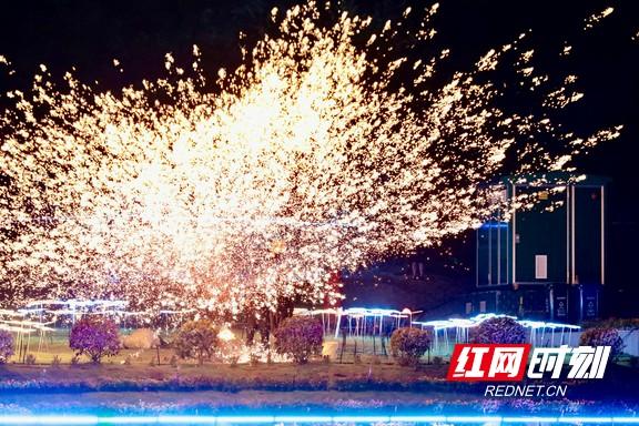 组图｜光影绘画卷！2025年益阳文旅融合发展大会在沅江开幕