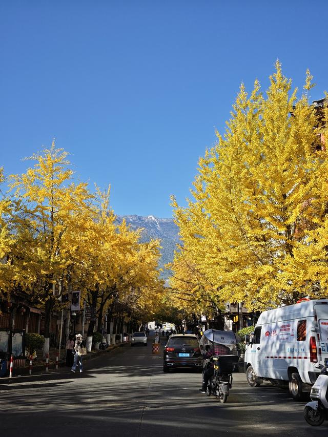 大理古城玉洱路，“满城尽带黄金甲”