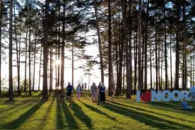 爱沙尼亚举办仲夏节庆祝活动图片