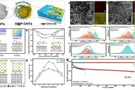 中国科学院青岛能源所高比能硫化物全固态锂硫电池取得新进展图片