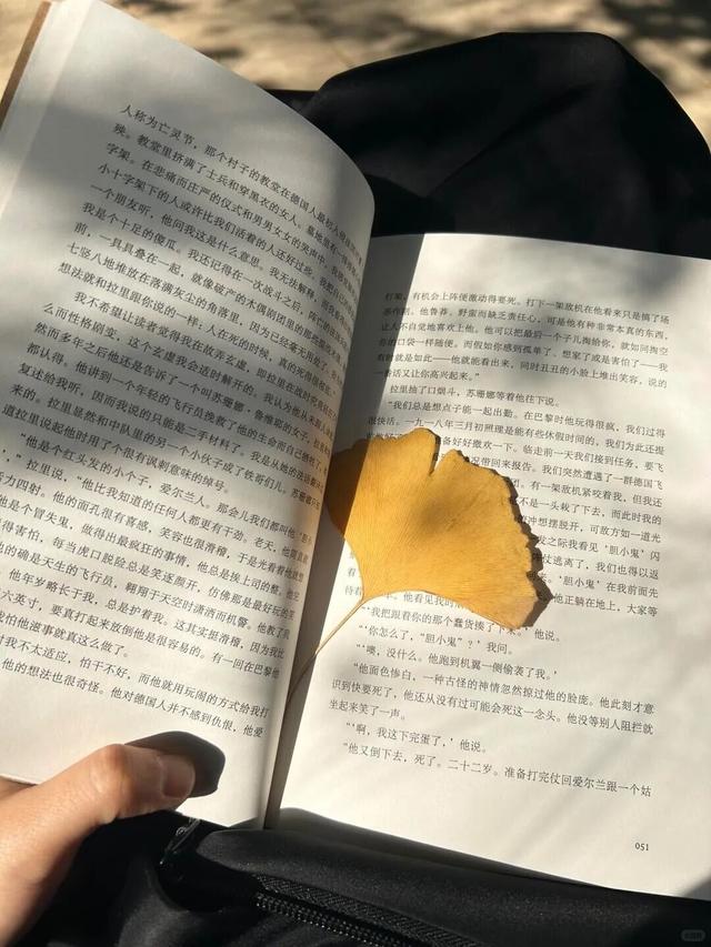 秋日限定“双骄”：从赏到玩转的完整攻略！