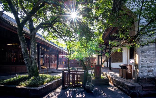 城市“成长记”⑤丨眉山：东坡文化浸润城市文明 让千年文脉活在当下