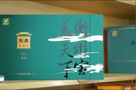 【2023湖南茶叶“三茶统筹”标杆企业】  宝盖绿康：宝盖一开幸福来图片