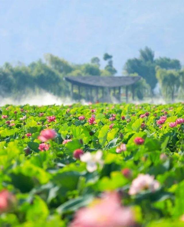 2025年“珠江源头·旅居曲靖”避暑活动文旅板块大放送