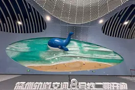 深圳地铁“看海线”来了，至少还有8条线路在建！图片