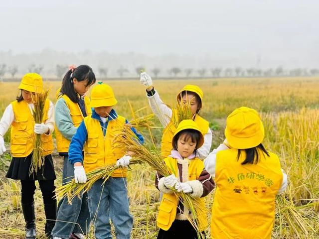 来宿城，解锁N种田园撒欢方式！