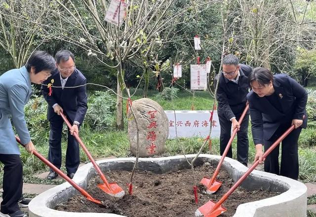宜兴→眉山，“东坡海棠”回归故里！