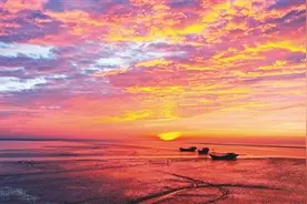 冬游条子泥图片