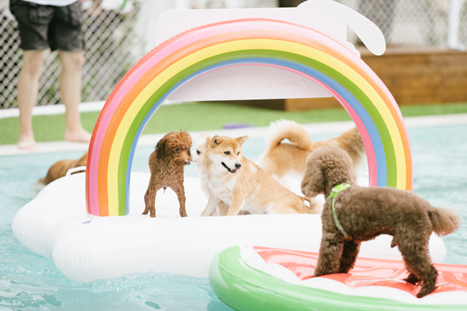 老外街升级！年轻态的“城市乐园”等你来玩