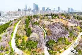 上春山·找春天——牧牛山山体公园 | 新黄河镜相图片