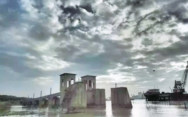 郊野有多“野”？丨闵行情