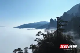 宜章莽山：春日云海 壮美如画图片