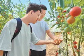 怀柔农民给大学教授当助手图片