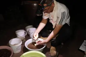 乡村振兴 | 小金蝉 “致富记”图片