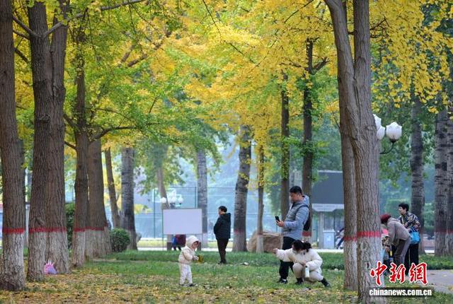 河北石家庄秋韵浓