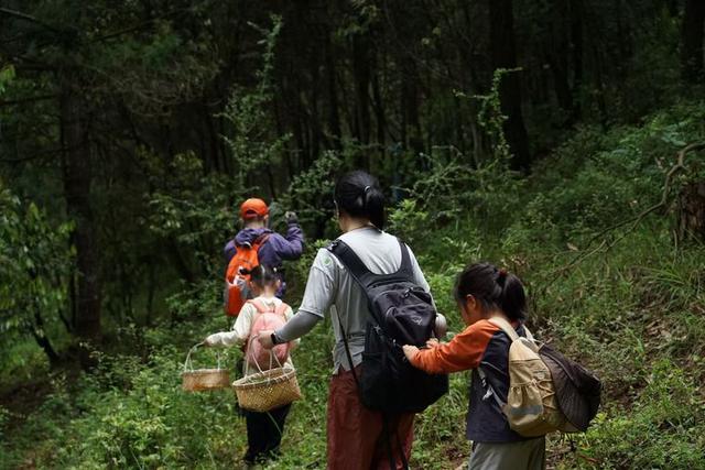 解锁昆明拾菌与旅居新体验——食亦蘑菇君畅谈云南生活新风尚