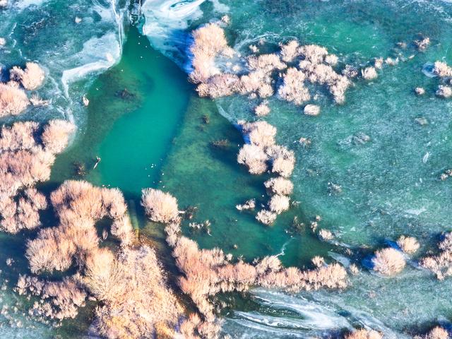 组图丨红崖山水库：冰湖灵动 生机盎然