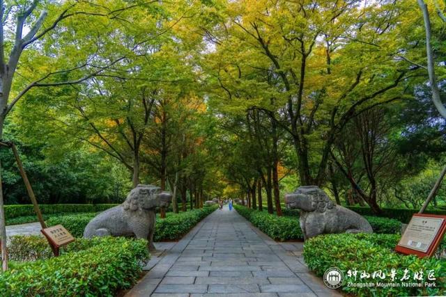 南京石象路秋日限定正式上线