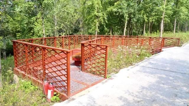 17万平方米绿廊上线！就在——