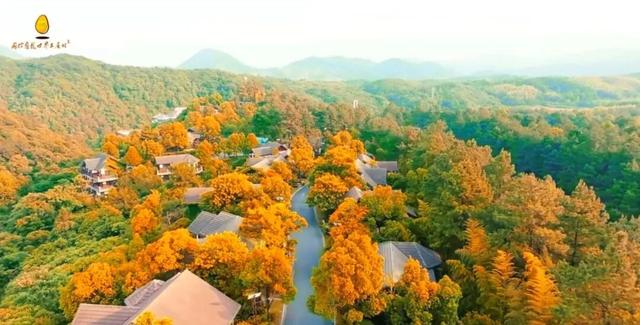 宁国的秋冬，藏着N种让人心动的打开方式