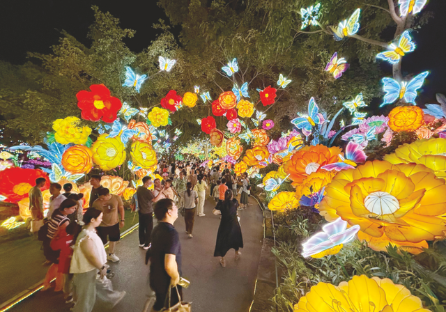 “南宁夜花园”闪耀梦幻夜
