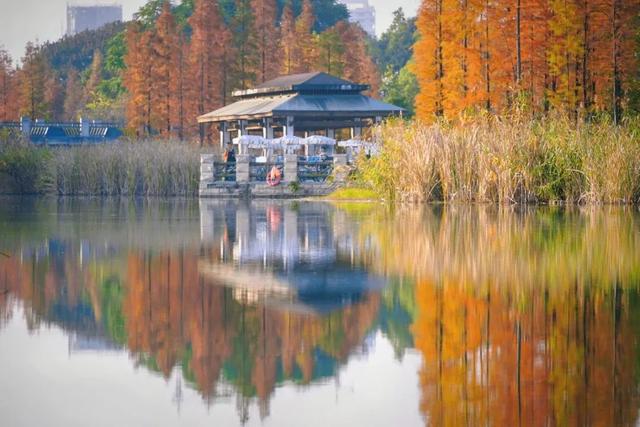 看大熊猫+逛城厢村糖会，这条「萌甜双buff路线」，快收藏！